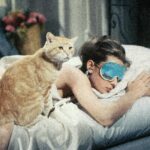 Los gatitos más adorables del cine